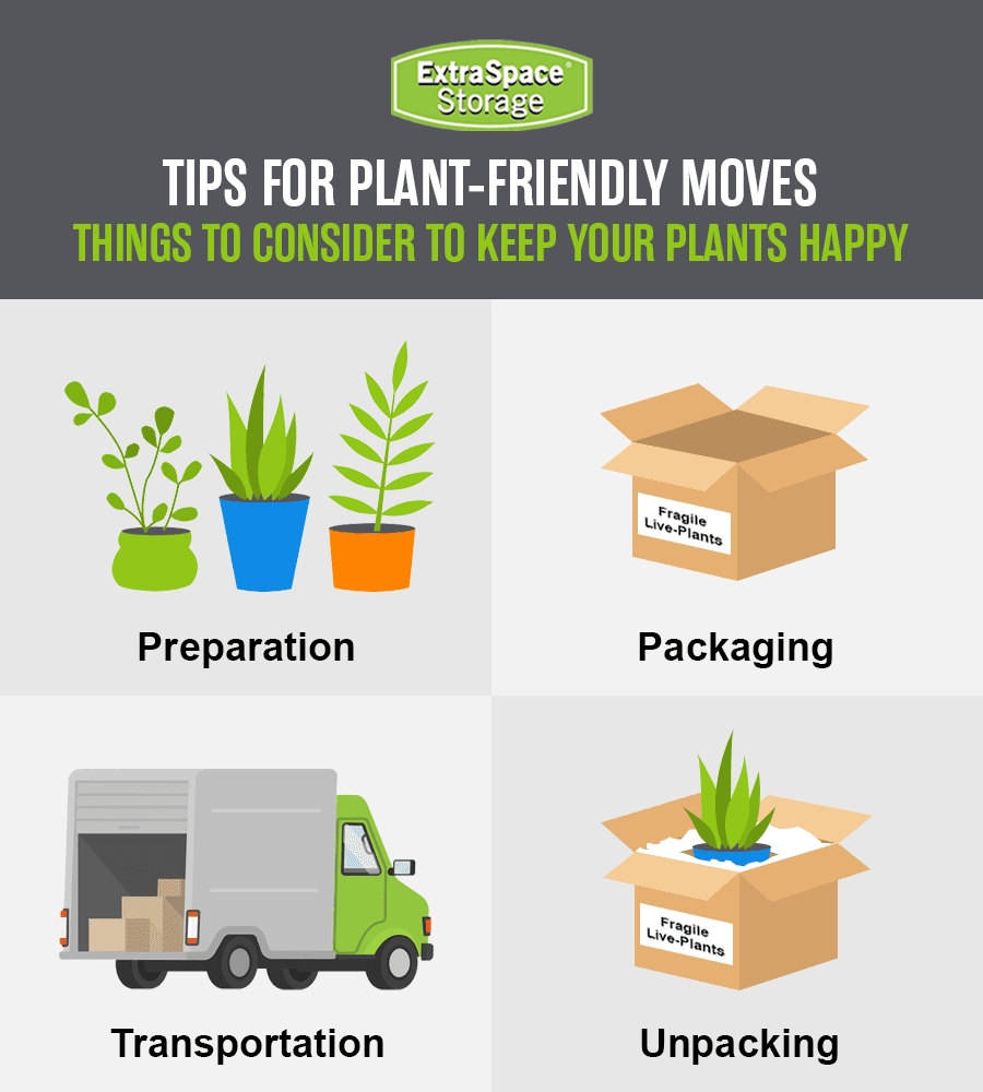 Rich Content - How to Move with Plants