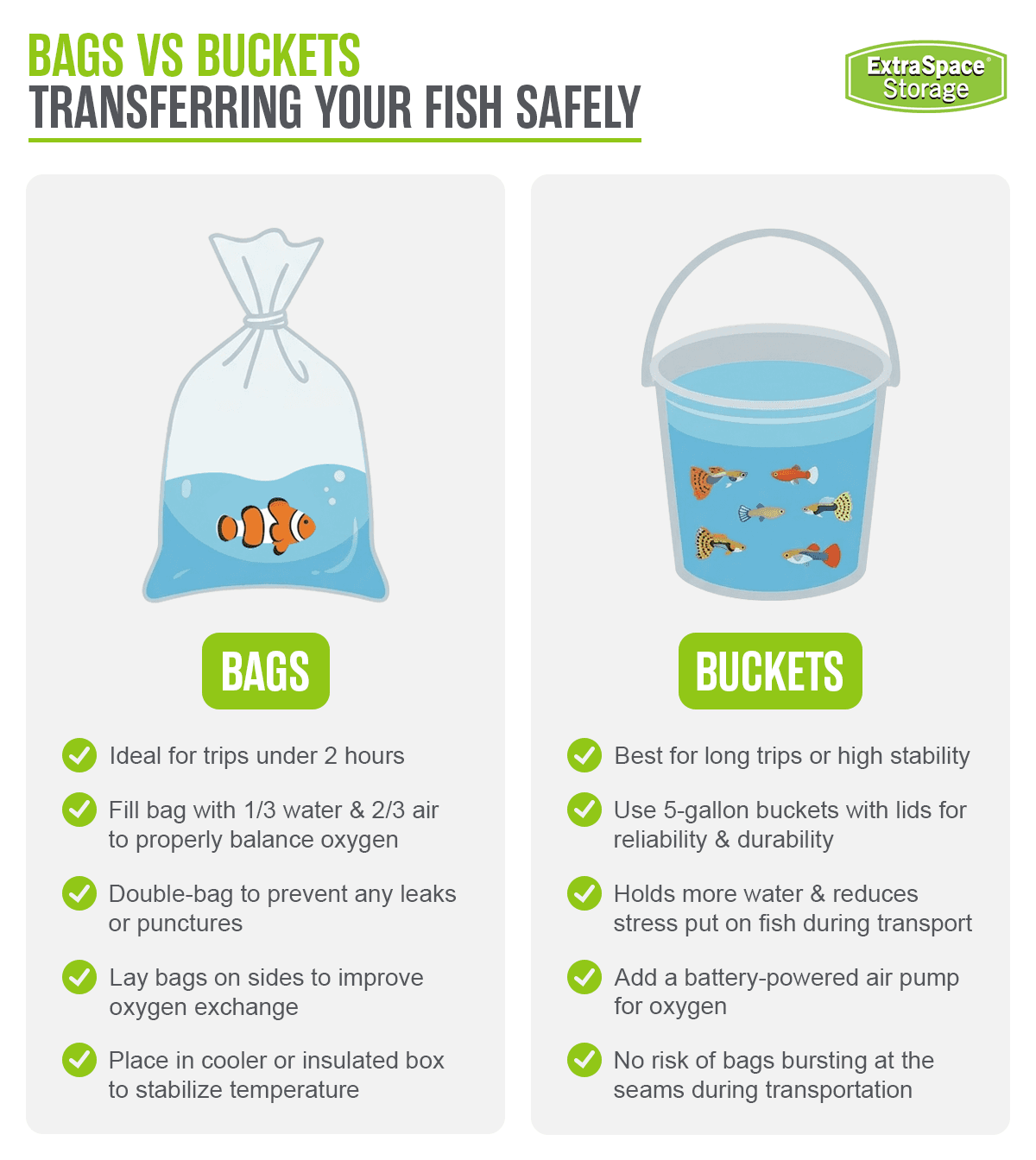 Rich Content - How to Move a Fish Tank or Aquarium to a New House