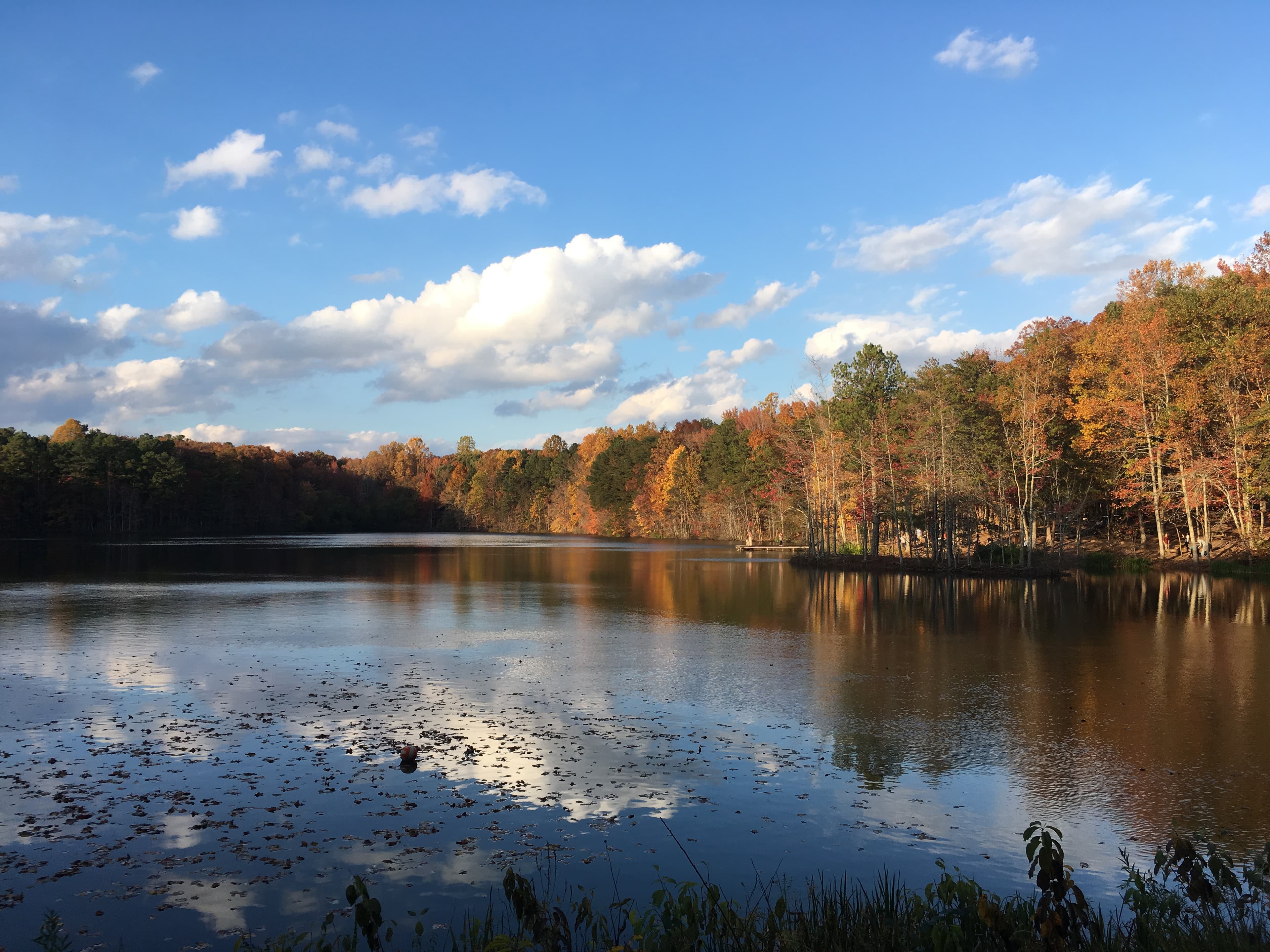 Image of a waterfront nature area in Madison, AL, featuring blue skies, fluffy white clouds, and forested terrain.