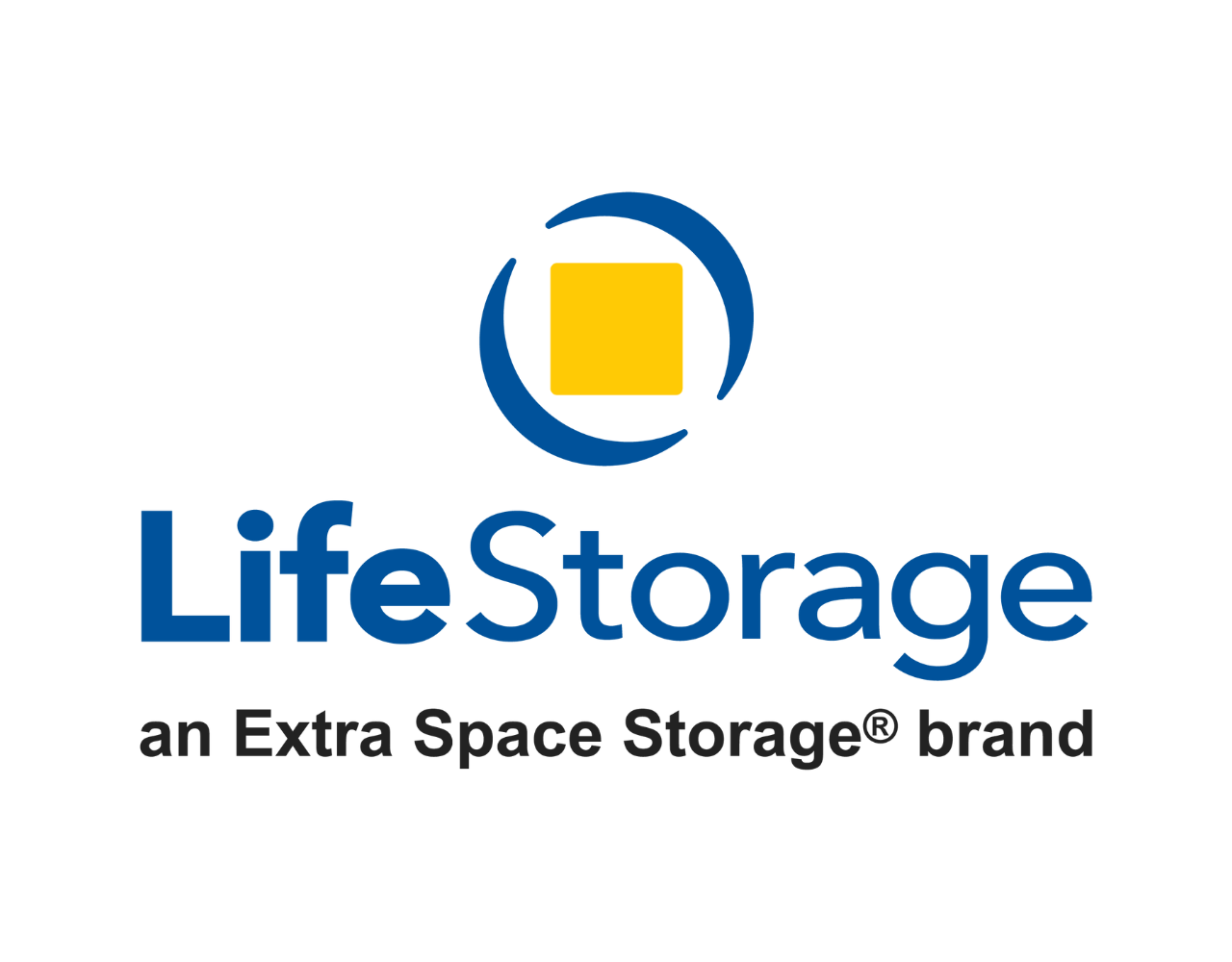 Downloadable Life Storage Alternate Logo