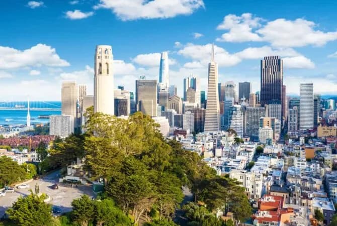 San Francisco skyline on bright day with clouds and tall buildings in background and greenery in foreground