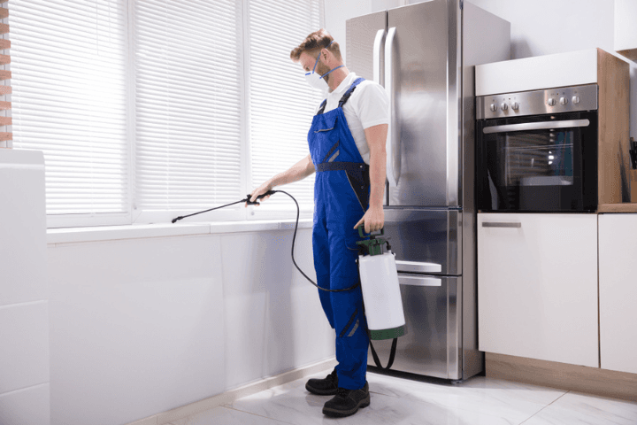how-to-store-spray-for-pests