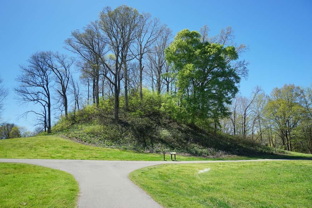 Grassy park area in Madison, Tennessee, with a paved walking path and trees.