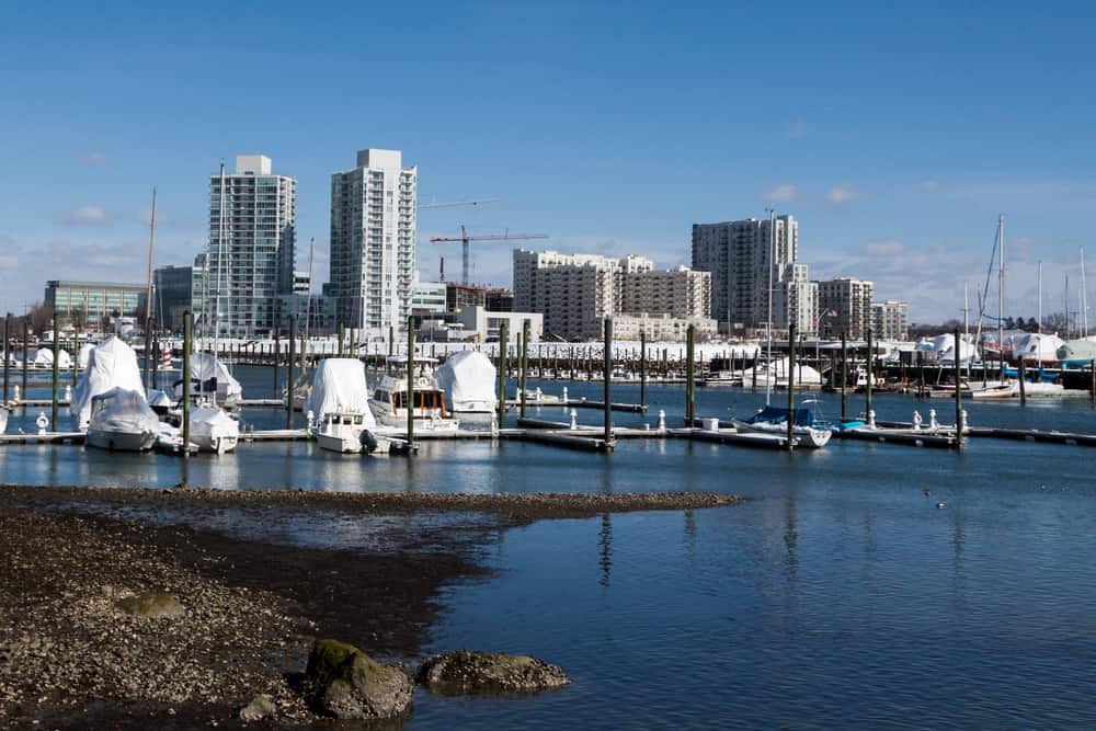 Scenic waterfront view in Stamford, Connecticut, featuring a marina with docked boats, calm water, and a backdrop of modern high-rise apartments and office buildings on a bright, clear day.