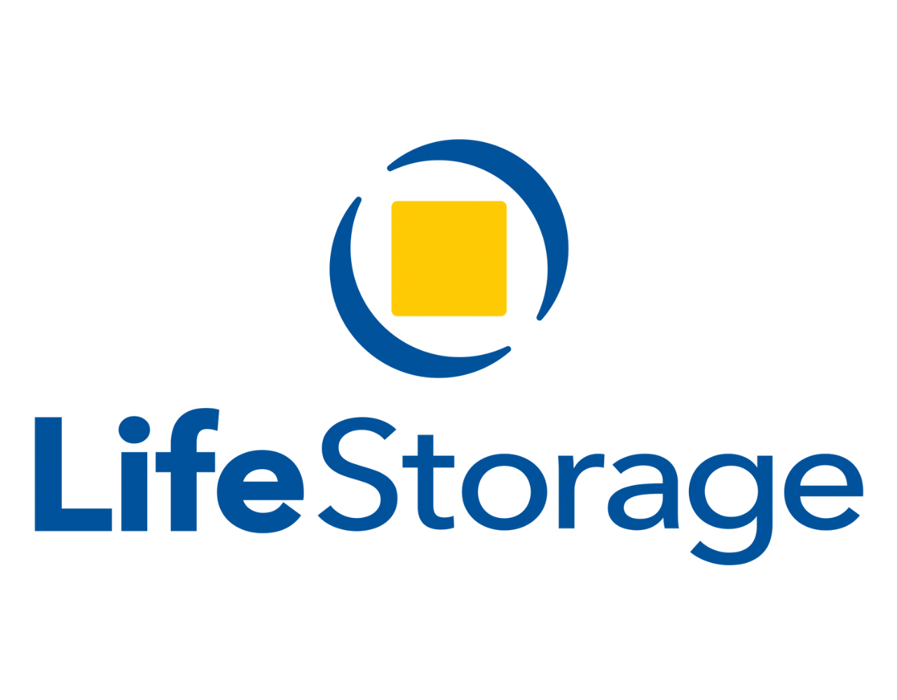 Downloadable Life Storage Logo
