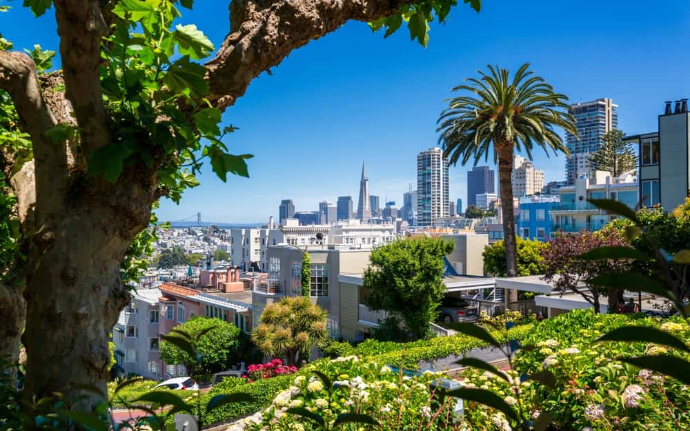 San Francisco, California city skyline with Golden Gate Bridge in background and greenery in foreground on clear, cloudless day