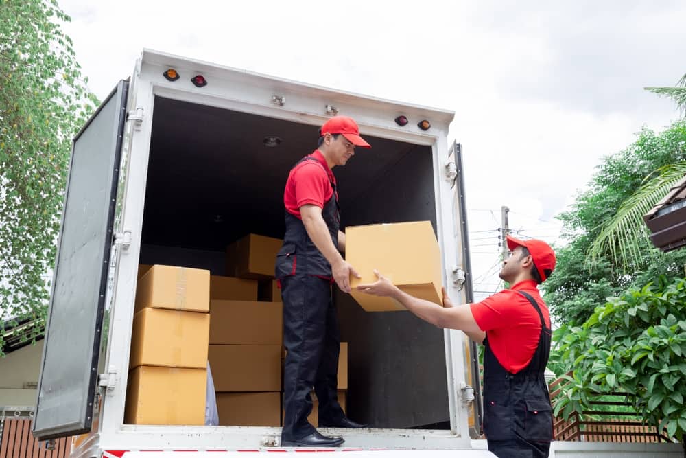 Professional movers with moving box