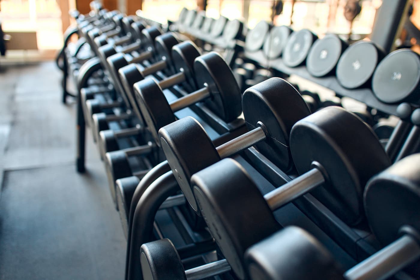 A rack of dumbbells
