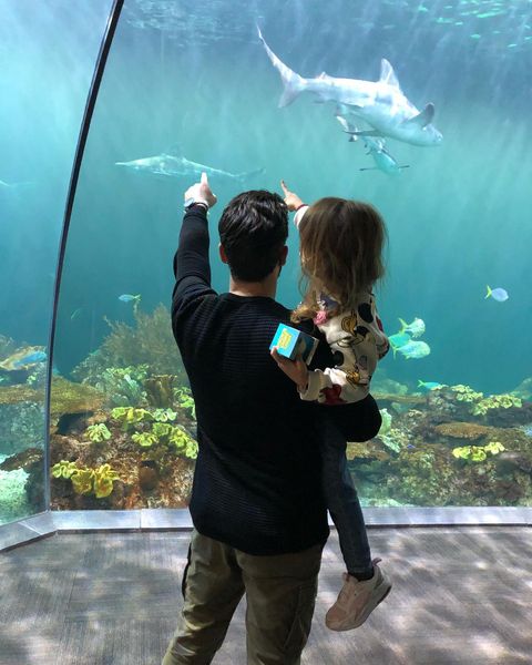 Shedd Aquarium Family Photo via @kostas_frantzeskakhs