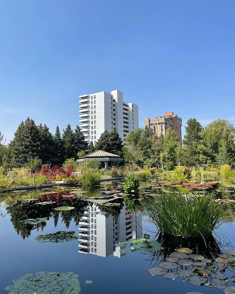 Inside of the Denver Botanic Gardens. Photo by Instagram user @gracekatowen