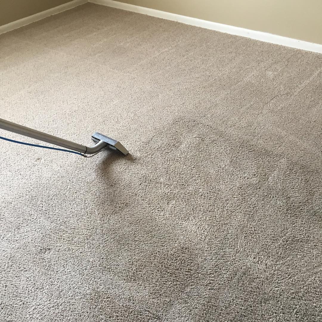 Deep carpet cleaner. Photo by Instagram user @carpetcleanse