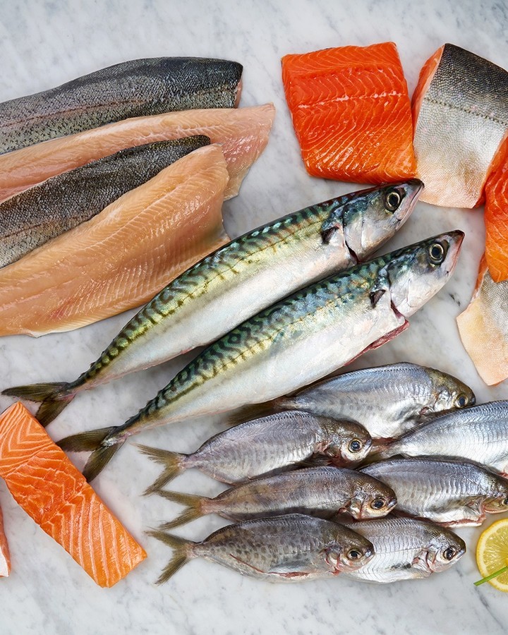 A variety of fish at a fish market. Photo by Instagram user @fultonfishmarket