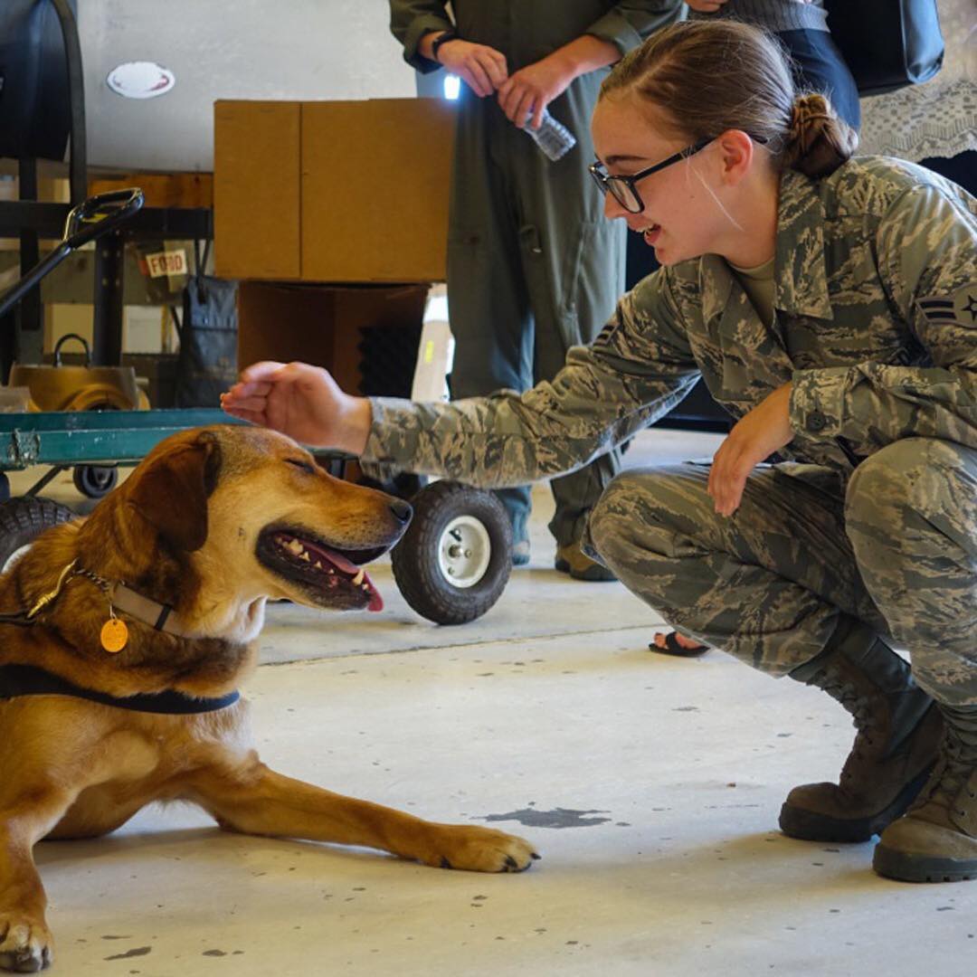 Military Woman Smiling and Petting a Dog. Photo by Instagram user @military1source