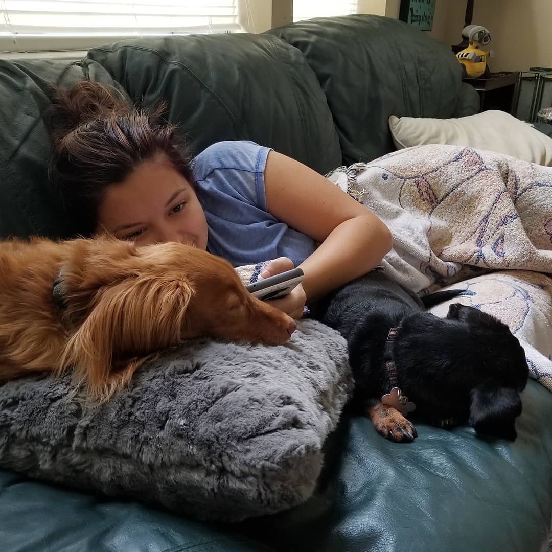 A college student cuddles with their dogs on their parent's couch while looking at their phone. Photo via Instagram user @dramamamabou