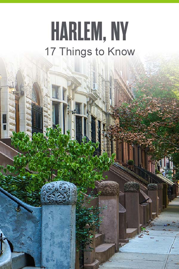 Pinterst graphic: Harlem, NY: 17 Things to Know