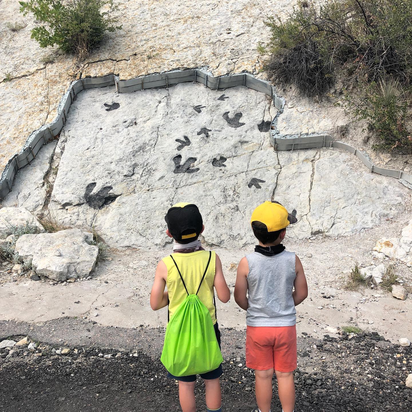 Children looking at fossils at Dinosaur Ridge. Photo by Instagram user @exploringthroughlife