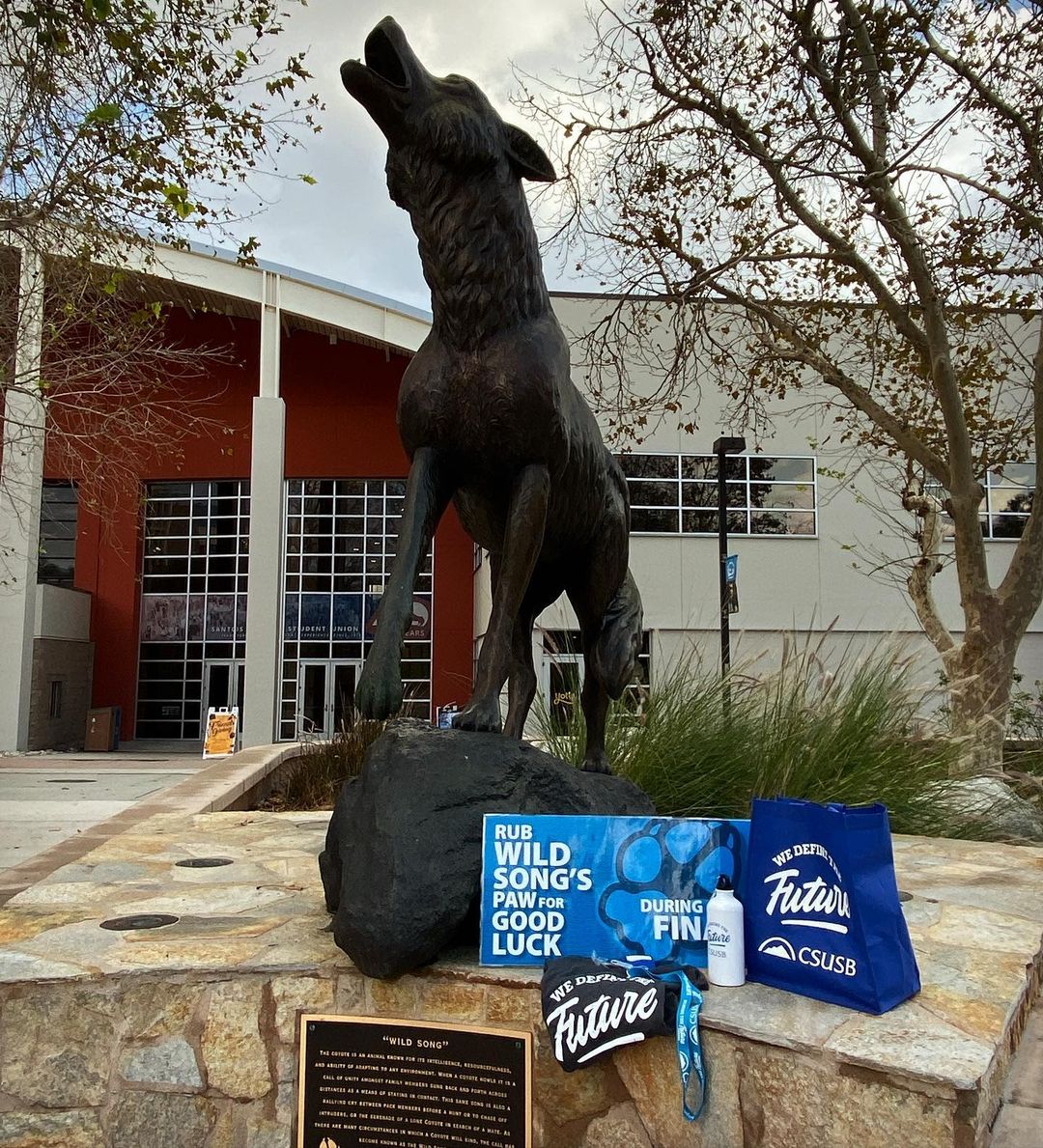 Coyote statue on the campus of California State University San Bernardino. Photo by instagram user @csusb.