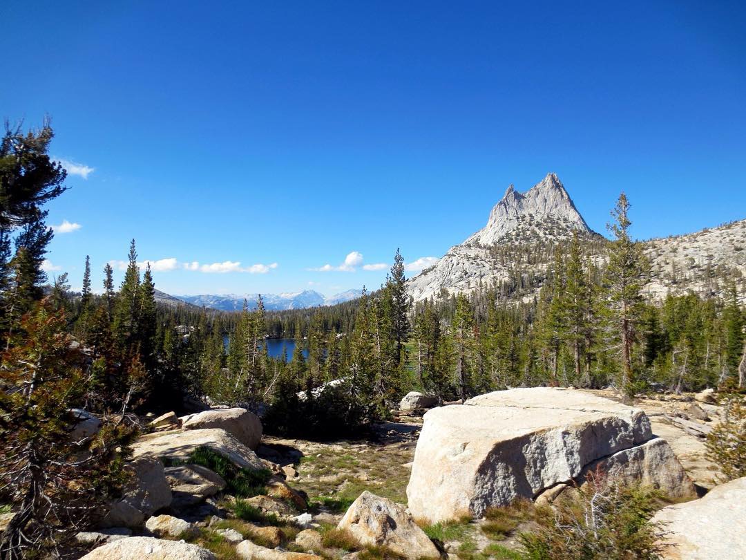 View of mountains on the horizon with rocks and trees in the foreground. Photo by Instagram user @yosemitenps