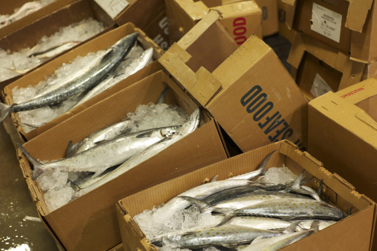 New Fulton Fish Market in Hunt's Point, Bronx, NY
