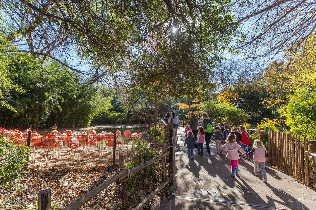 Family walking at the Fort Worth Zoo. Photo by Instagram user @fortworthzoo
