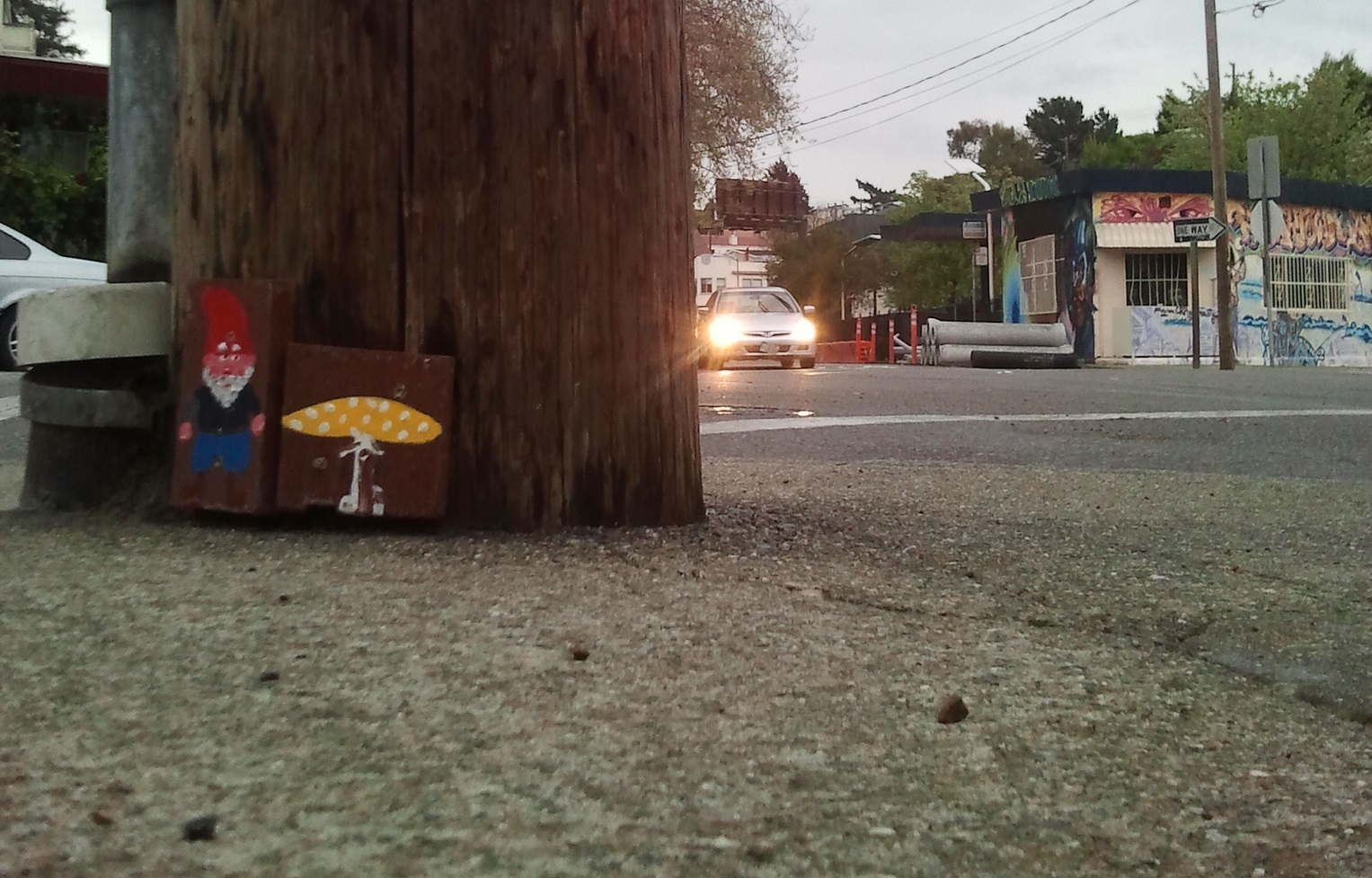 Gnomes around Oakland, CA