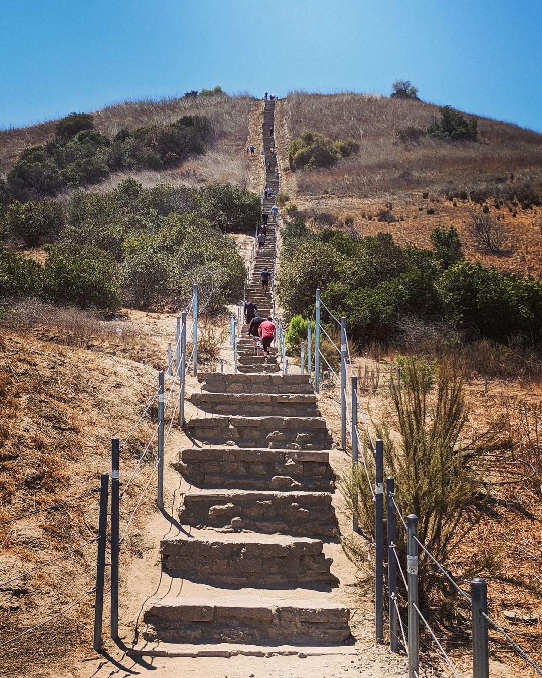 People Climbing The Stairs at Lookout Point in Culver City. Photo by Instagram user @chrissirois