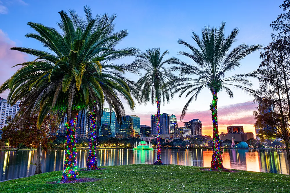 Palm trees and skyline in Orlando