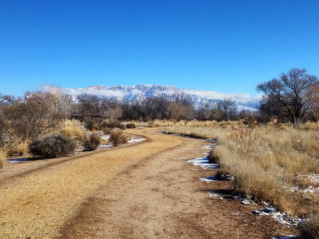 View of snow-capped mountain range in North Valley Albuquerque. Photo by Instagram user @russellmpage