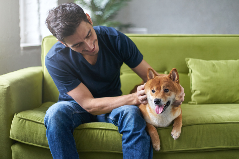Man petting dog on couch