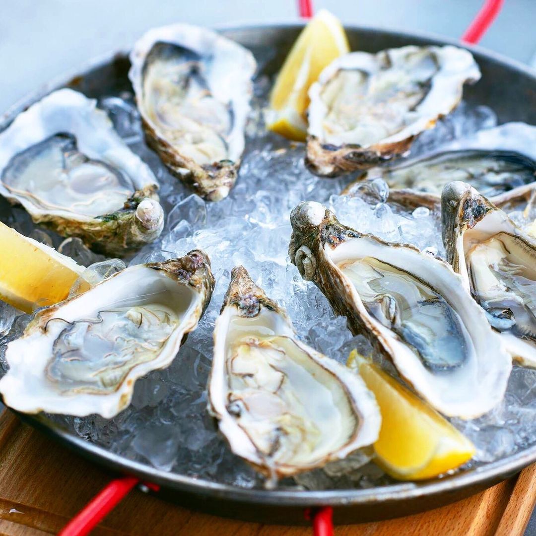 Oysters on the Half Shell from Cucina Palm Beach. Photo by Instagram user @pbsocialdiary