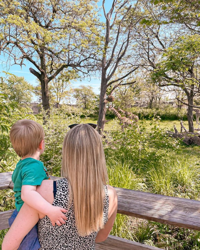 A mother and baby at the Indianapolis zoo. Photo by Instagram user @kellymalinn