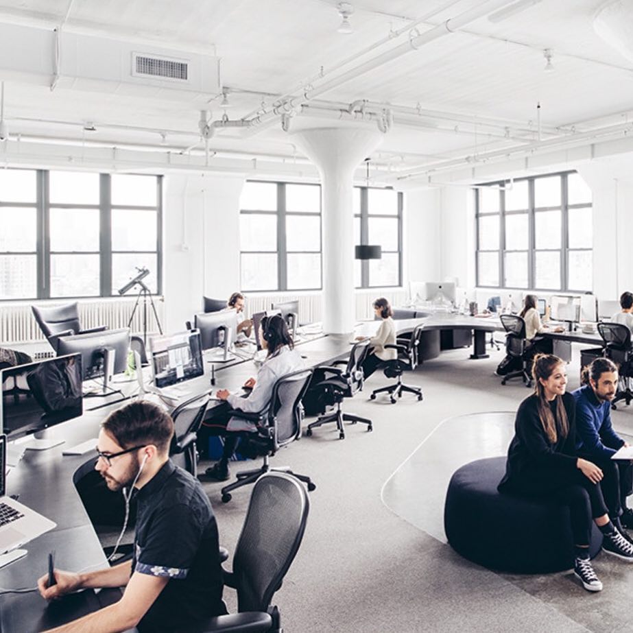 People Sitting in a Modern Office Space While Working at a Long Desk. Photo by Instagram user @area3design