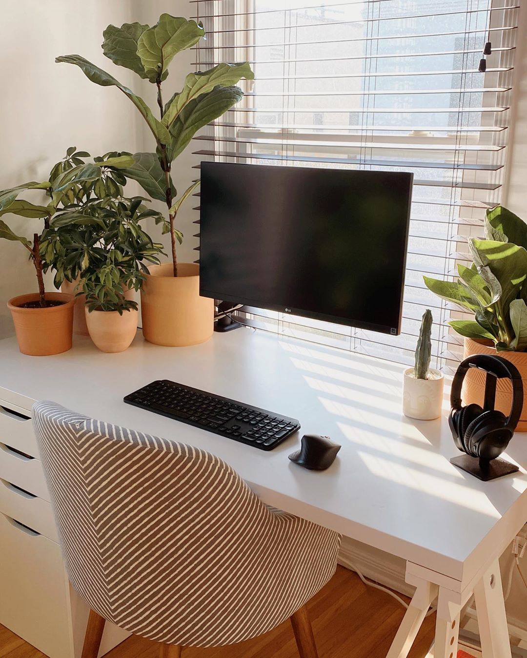 Desk with computer surrounded by plants. Photo by Instagram user @ashleyhosmer