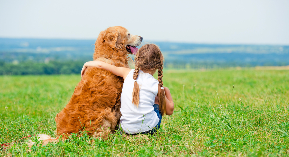 Little girl hugging golden retriever in field