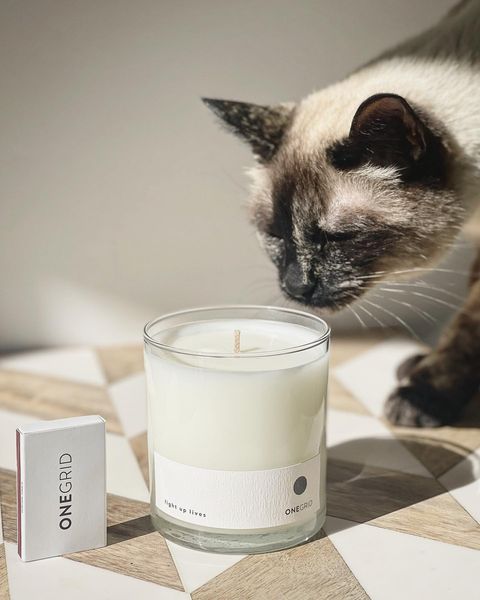 A cat going up to sniff a candle.