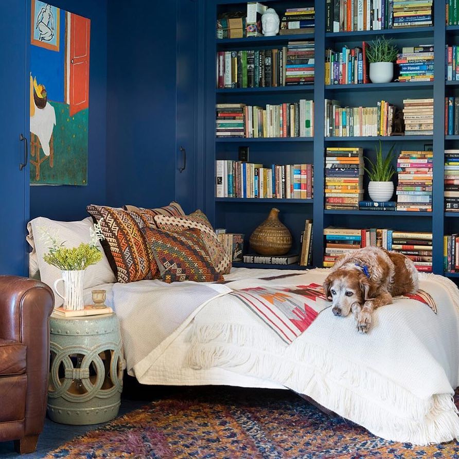 Dog Laying on Murphy Bed in Small Bedroom. Photo by Instagram user @lucyinteriordesign