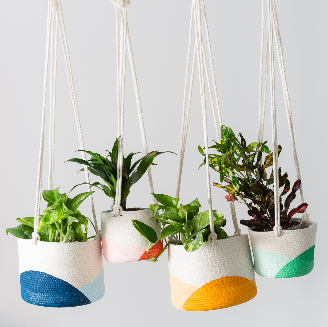 Colorful hanging planters. Photo by Instagram user @weareclosedonmondays