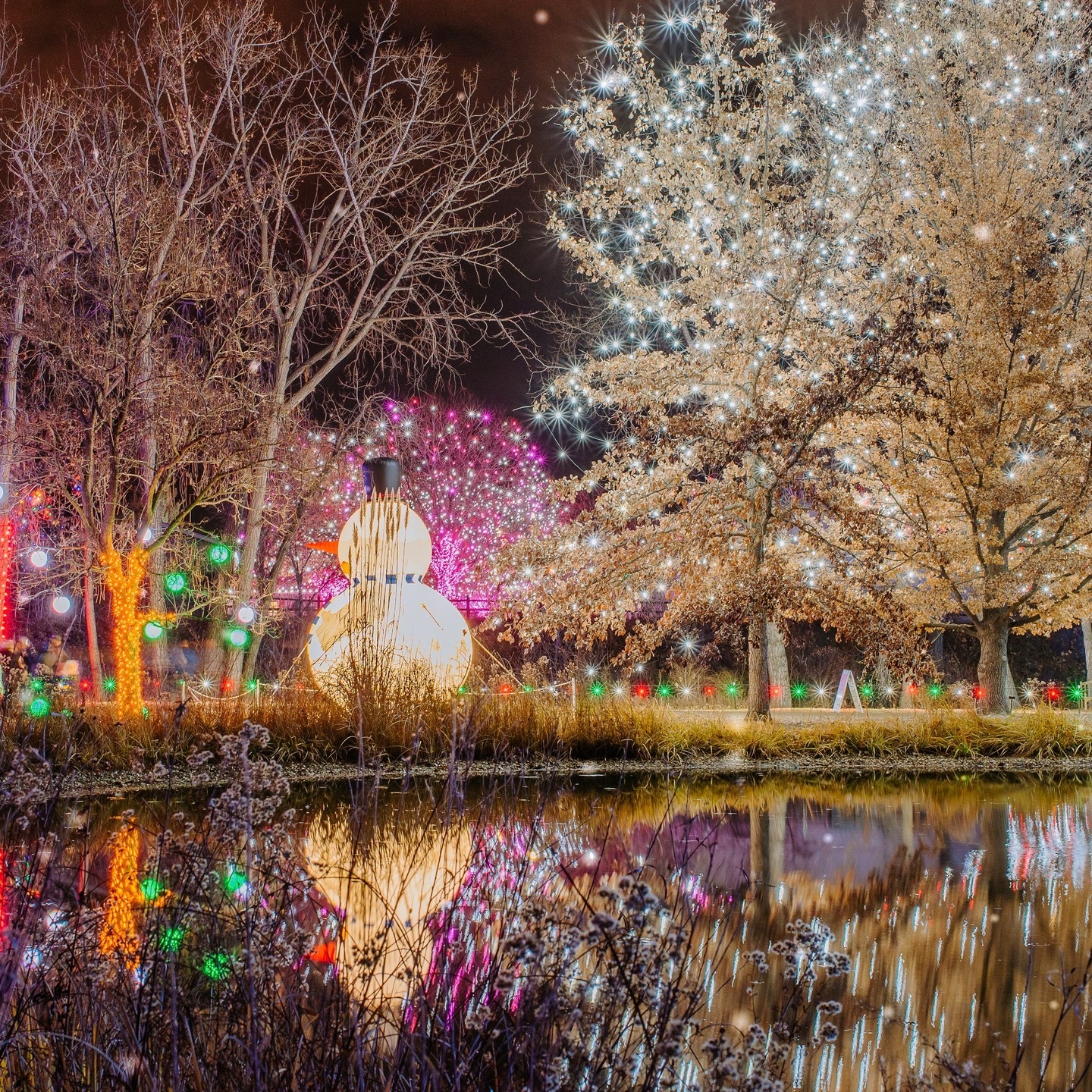 An outdoor display of christmas lights and inflated snowman. @hudsongardens