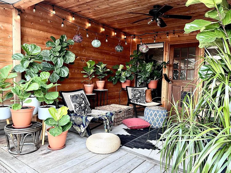 Small and large outdoor plants placed in the backyard living area. Photo by Instagram user @hekiwihome