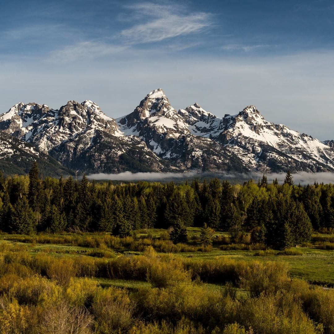 Mountains and Forests in Grand Teton National Park. Photo by Instagram user @grandtetonnps