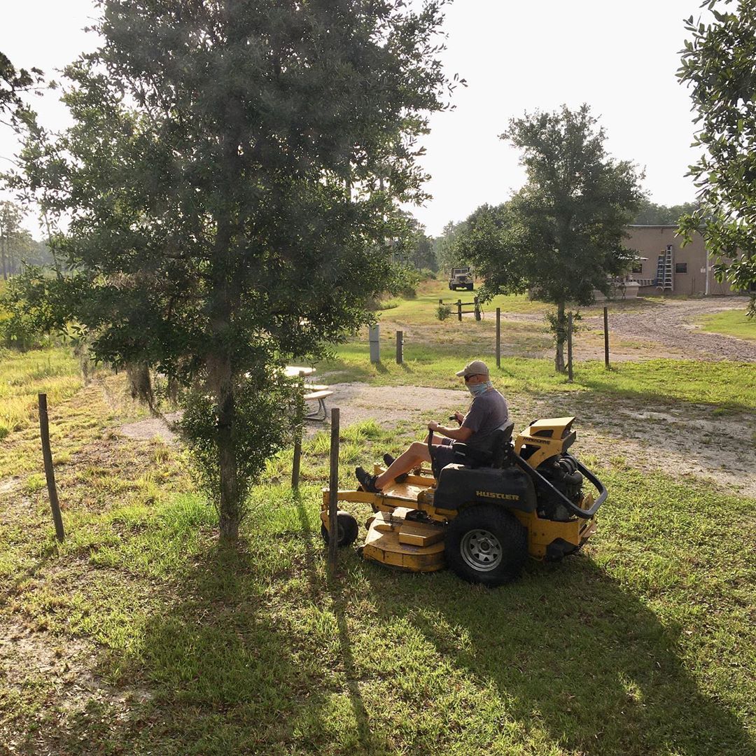 Man Using a Riding Lawn Mower to Mow the Grounds at Disney Wilderness Reserve. Photo by Instagram user @parkit.us