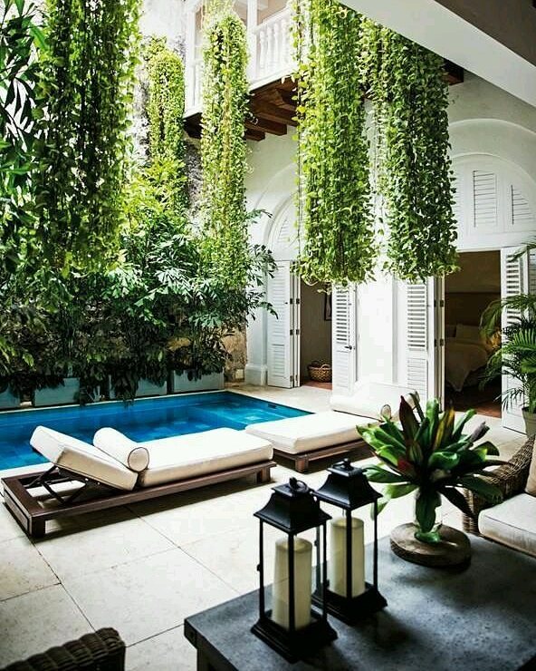 hanging plants around a small backyard pool with loungers photo by Instagram user @akash_constructions_