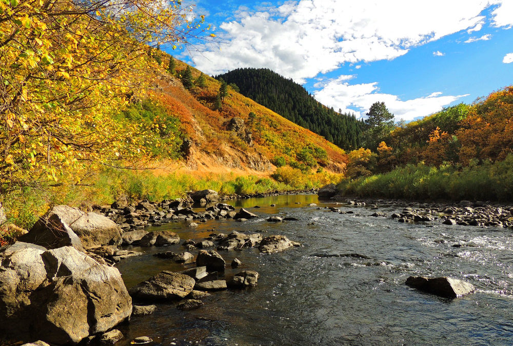 Scene at South Platte River in Littleton, CO