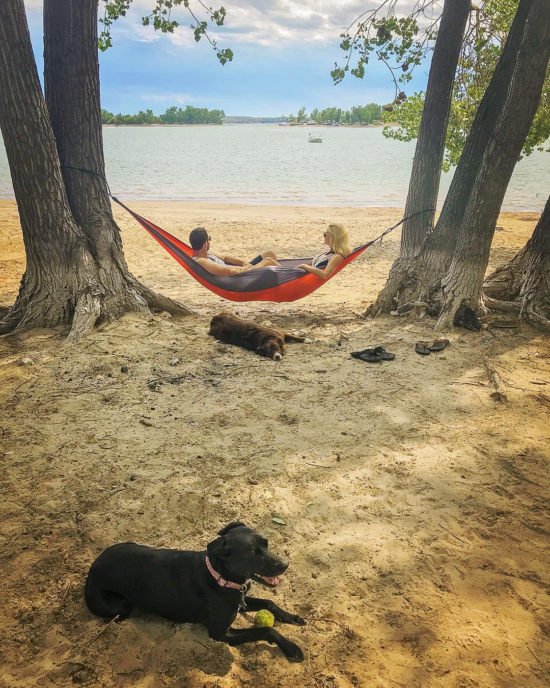 Couple in hammock on beach with dogs. Photo by Instagram user @follow_your_detour
