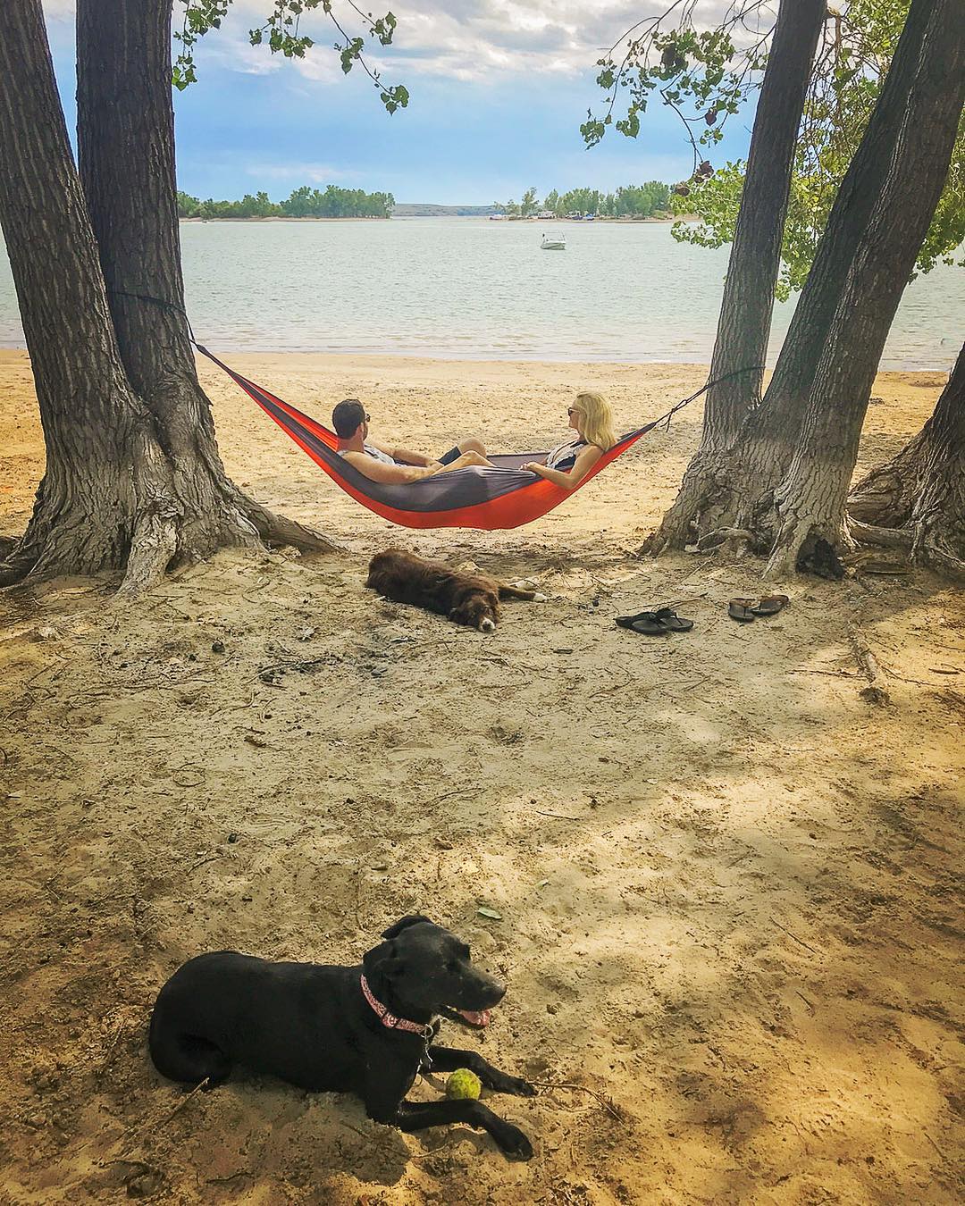 Couple in hammock on beach with dogs. Photo by Instagram user @follow_your_detour