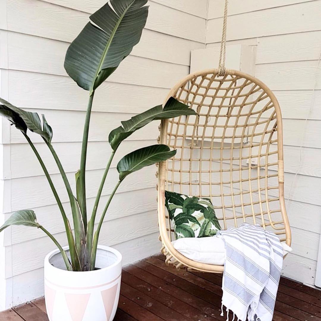 hanging chair set up outside next to plant photo by Instagram user @cassievan1