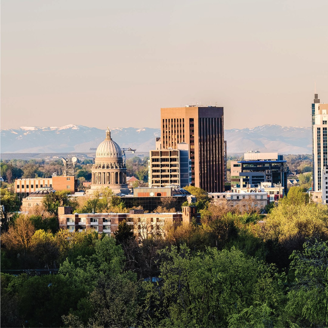 Skyline view of downtown Boise buildings with trees and mountains. Photo by Instagram user @mikebrowngroup.