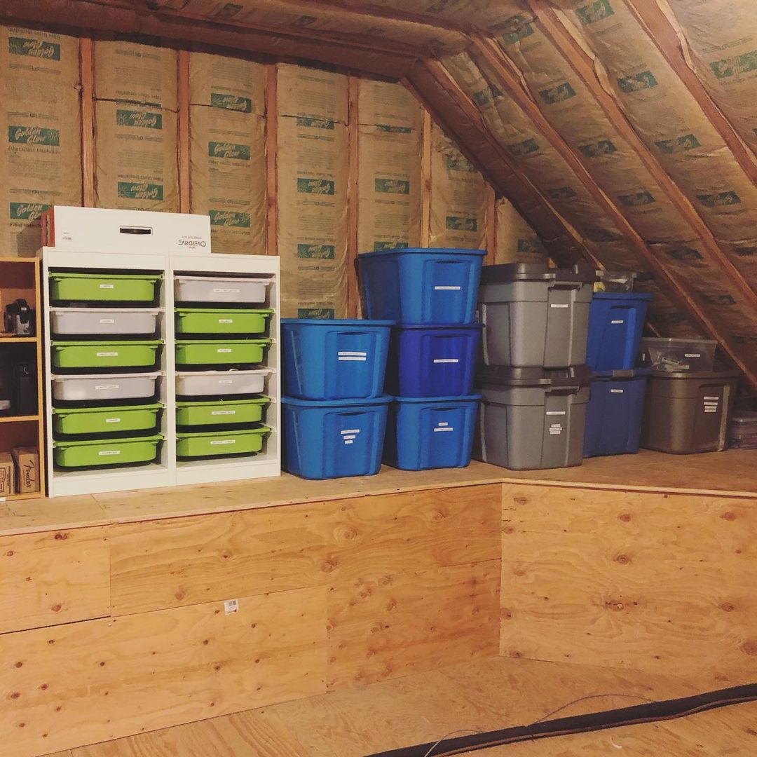 Bins with Labels. Photo by Instagram user @myhome1projectatatime