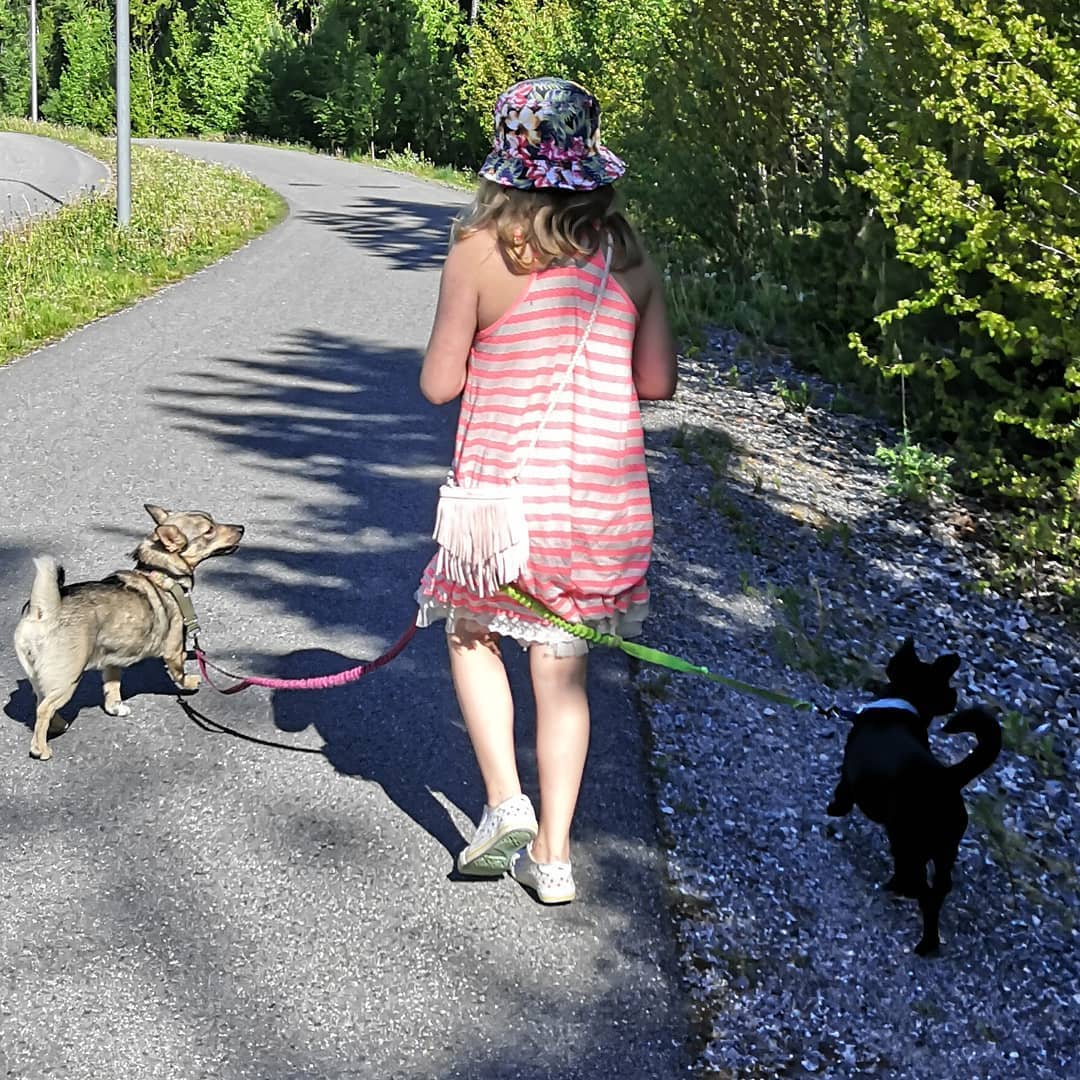 Young Girl Walking Two Dogs on a Sidewalk. Photo by Instagram user @funnarevolution
