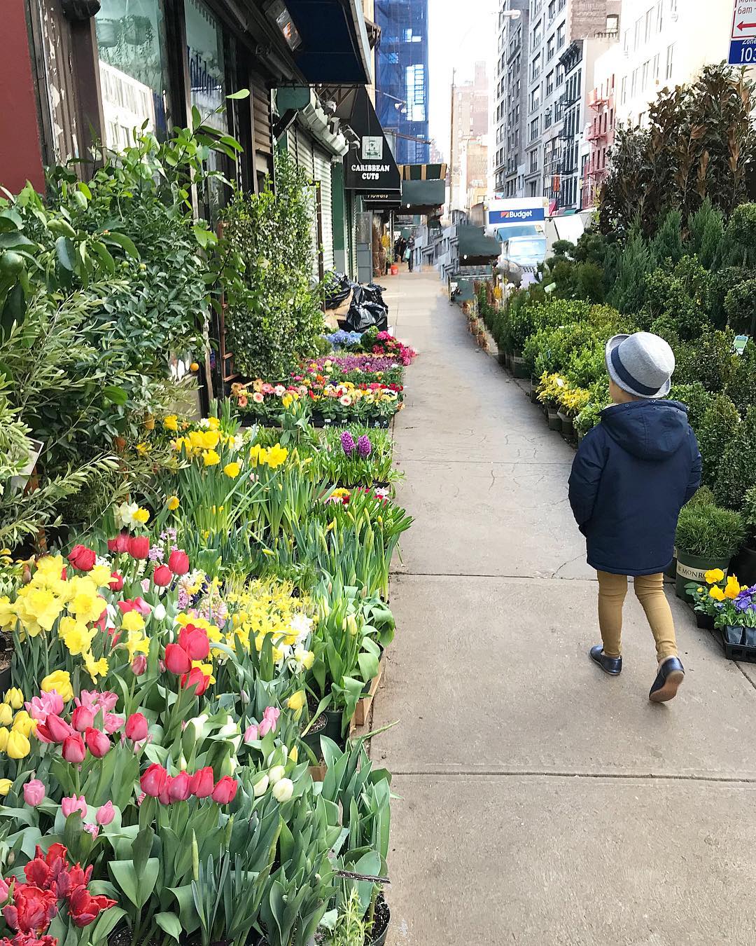 Child Walking Through a Flower Market in New York City. Photo by Instagram user @littlekidnyc